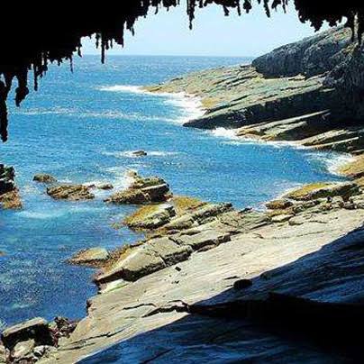 Nature Tour Stop 4